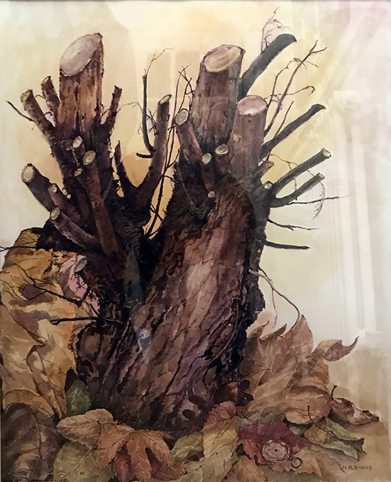 Untitled – Anne Whitelock (Dixon)